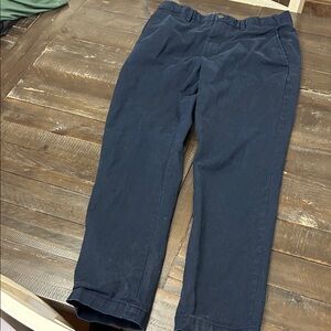 Banana Republic Dark Blue Chinos